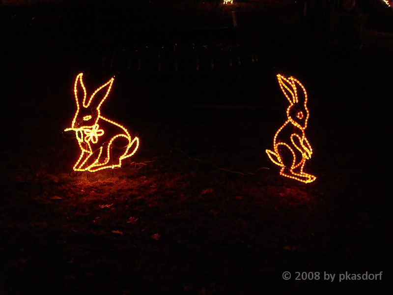 046 Toledo Zoo Light Show [2008 Dec 27].JPG - Scenes from the Toledo Zoo Light Show.